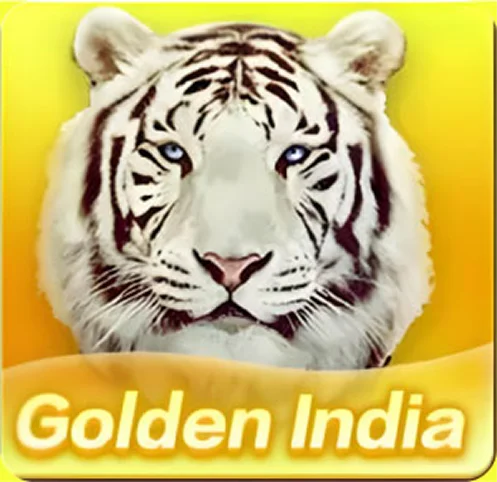 Golden India — gameplay screenshot on Teen Patti Dunya